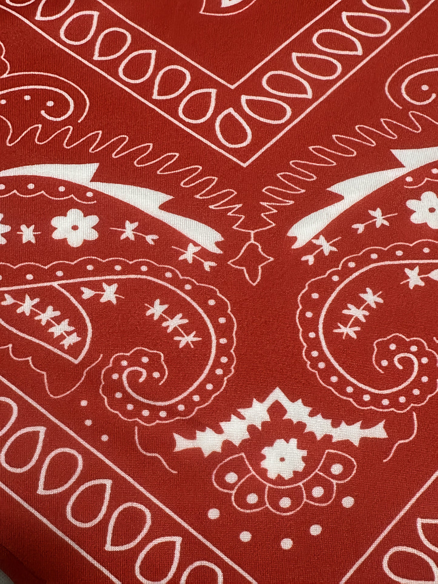 Asymmetrical Paisley Print Bandeau Top