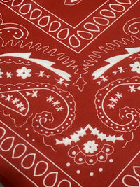 Asymmetrical Paisley Print Bandeau Top